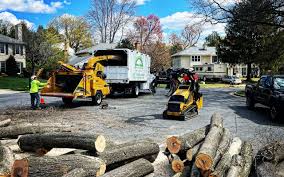 Best Stump Grinding and Removal  in Herricks, NY